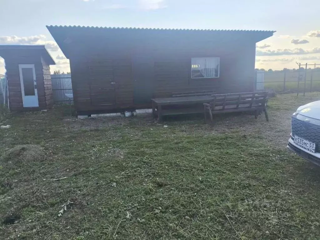 Участок в Новгородская область, Шимское городское поселение, д. Бор ... - Фото 0