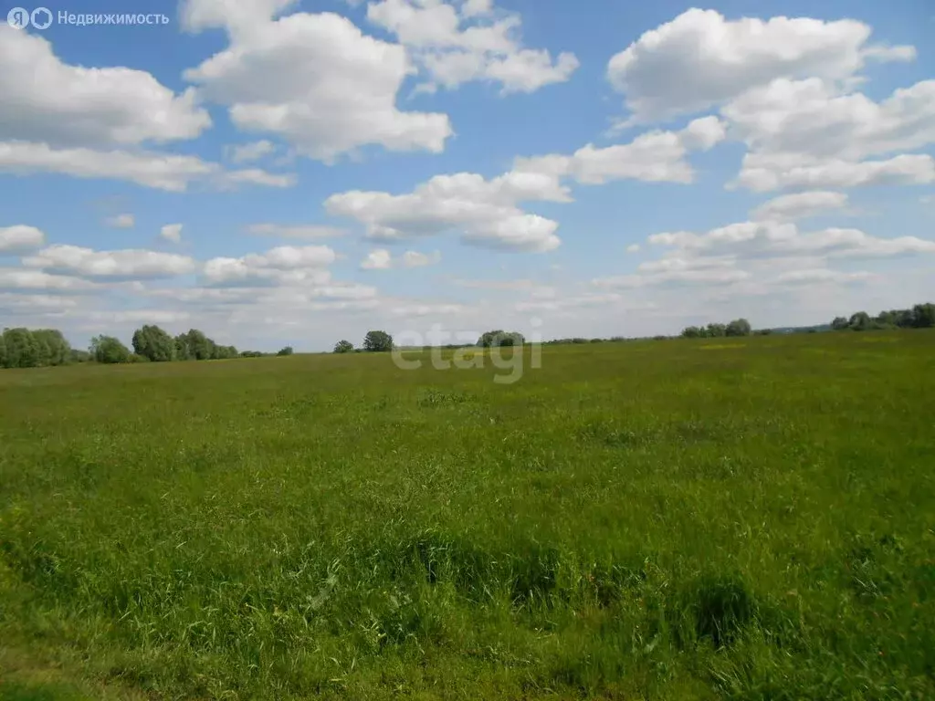 Участок в Республика Башкортостан, село Кармаскалы (12 м) - Фото 2