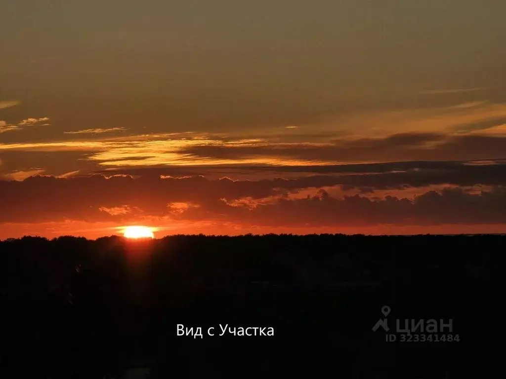 Участок в Севастополь Орешек ТСН, 40 (6.7 сот.) - Фото 1