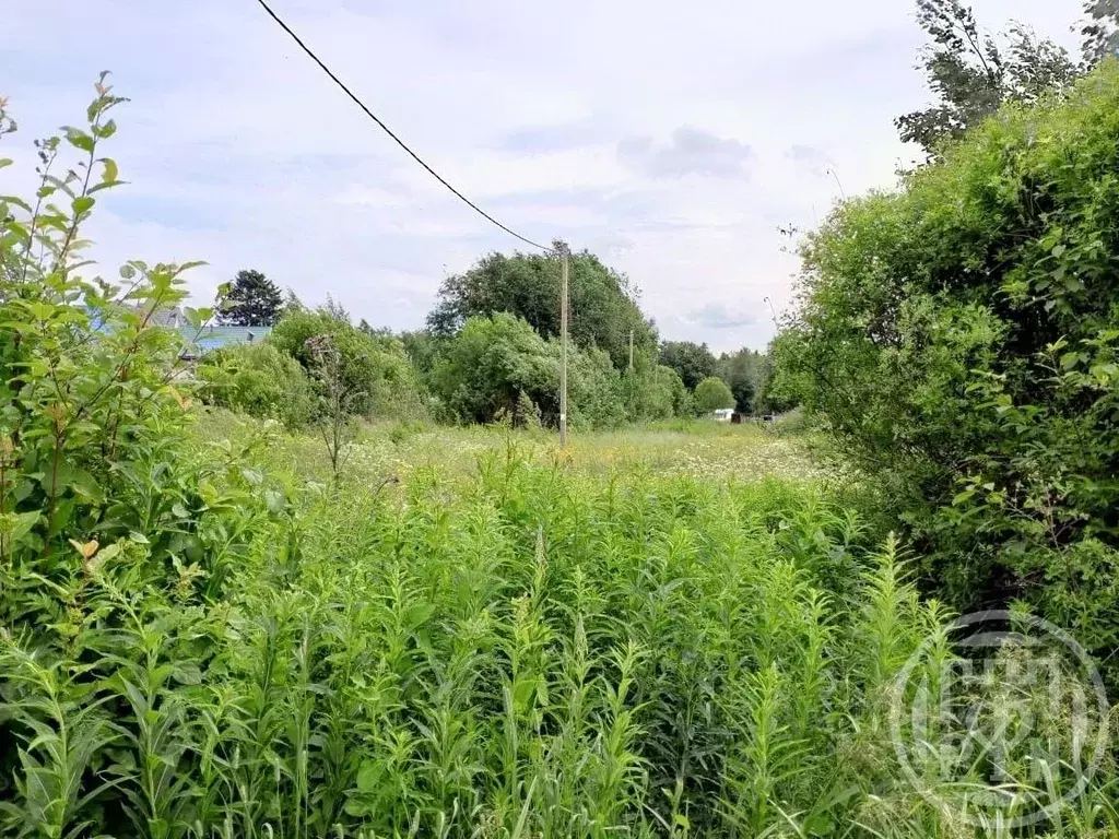 Участок в Ленинградская область, Выборгский район, Рощинское городское ... - Фото 1