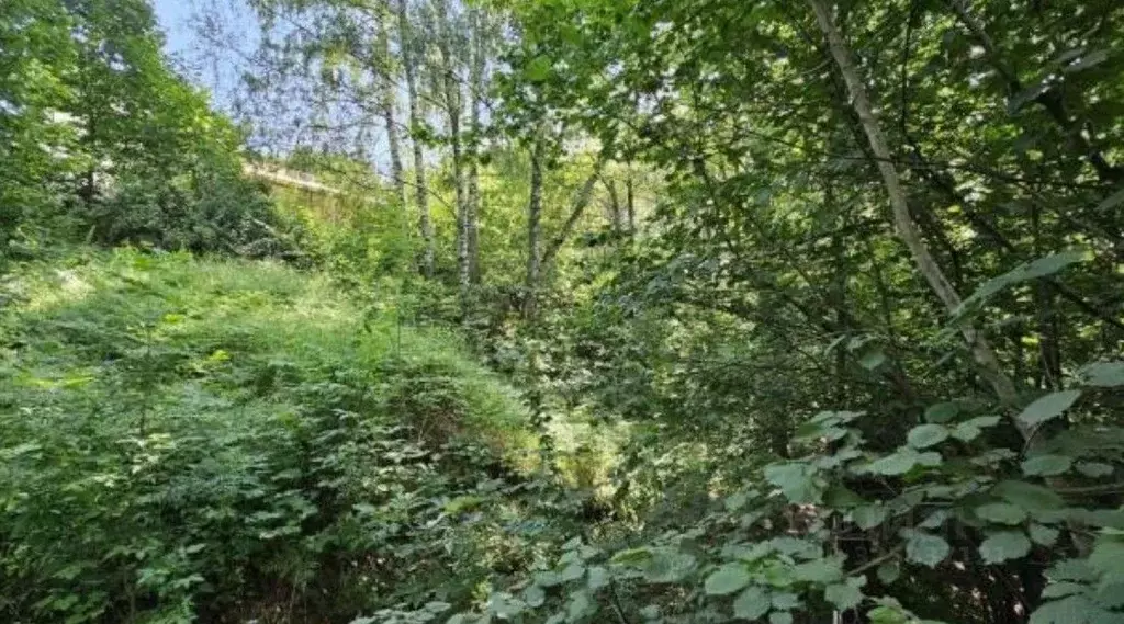 Участок в Московская область, Химки Планерная мкр,  (8.36 сот.) - Фото 2