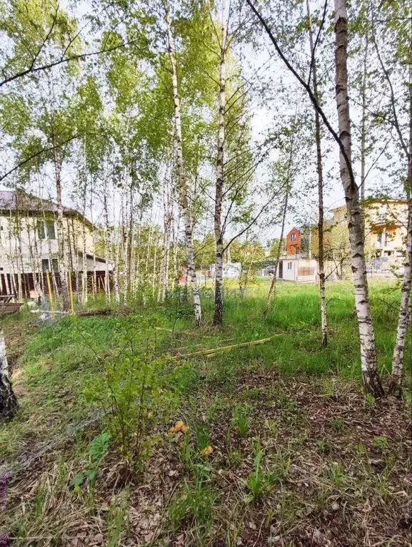 Участок в Москва Бараново ОНТ,  (5.0 сот.) - Фото 1