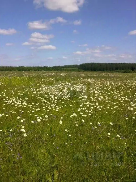 Участок в Калужская область, Малоярославецкий муниципальный округ, д. ... - Фото 2