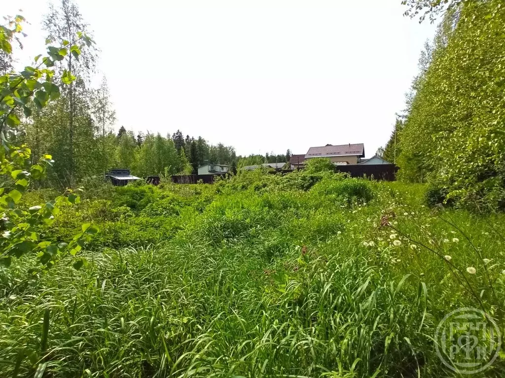 Участок в Сертолово, микрорайон Чёрная Речка (12 м) - Фото 1