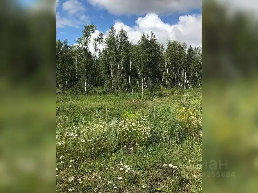 Участок в Томская область, Томский район, д. Кисловка ул. Строителей, ... - Фото 1