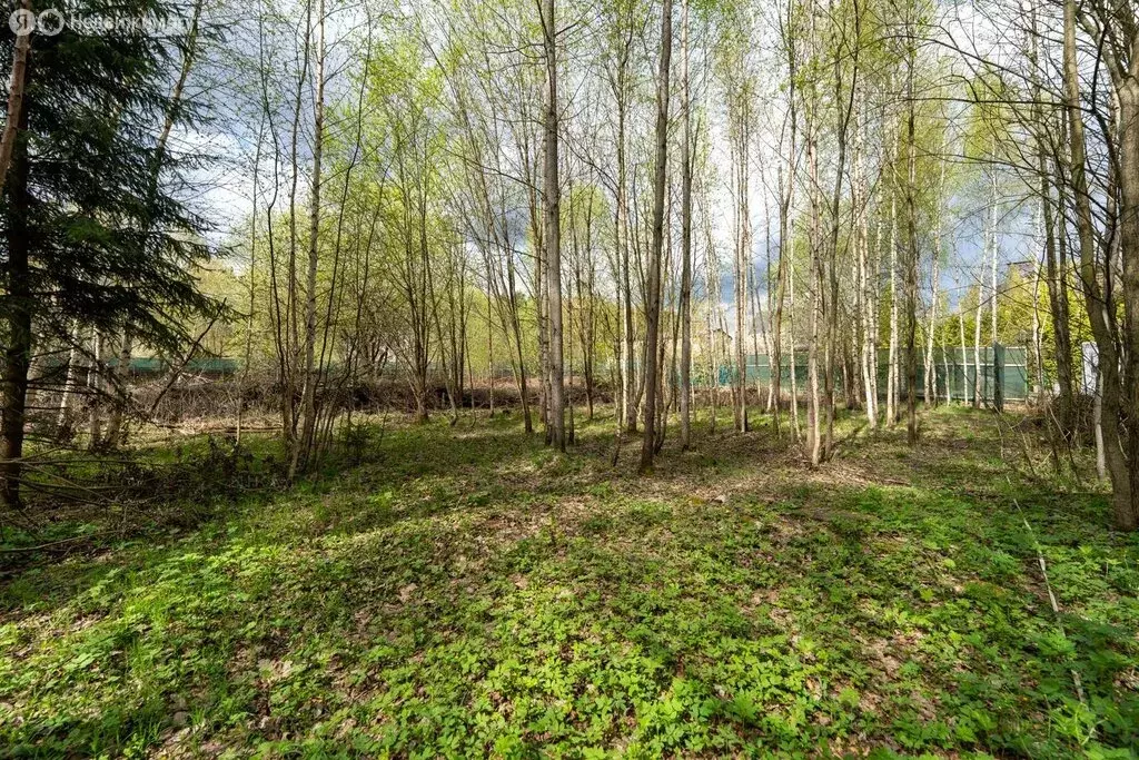 Участок в Химки, КП Резиденции Новогорск (44 м) - Фото 1