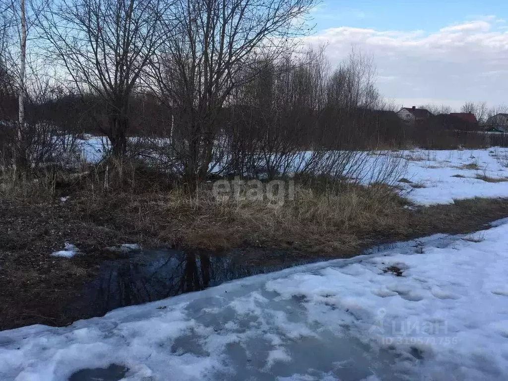Участок в Владимирская область, Муром д. Коржавино,  (14.46 сот.) - Фото 1