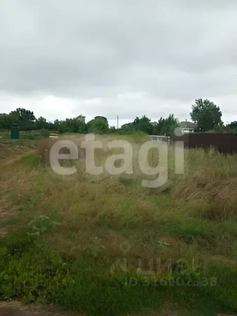 Участок в Белгородская область, Алексеевский муниципальный округ, с. ... - Фото 1