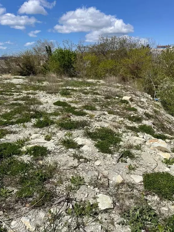 Участок в Краснодарский край, Геленджик Черемушки мкр, ул. Панорамная ... - Фото 2