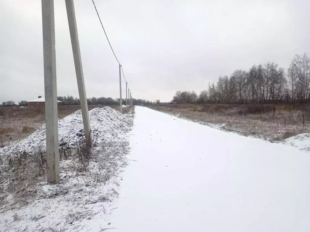 Участок в Рязанская область, Рыбновский муниципальный округ, ... - Фото 2