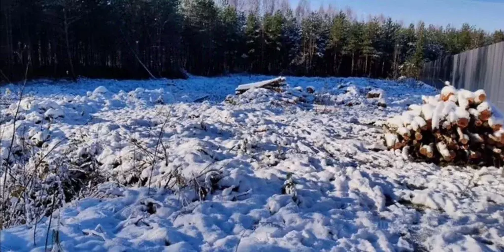 Участок в Ленинградская область, Ломоносовский район, Ропшинское ... - Фото 1