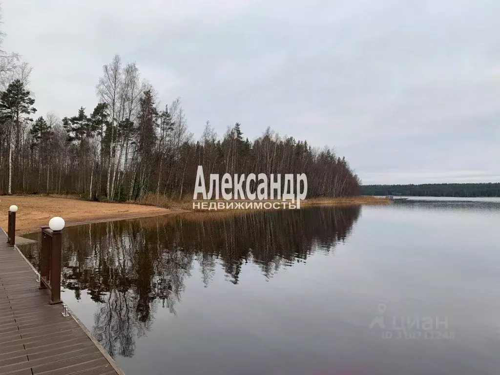 Участок в Ленинградская область, Приозерский район, Запорожское с/пос, ... - Фото 0