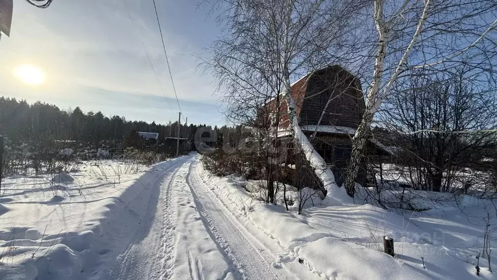Участок в Курганская область, Кетовский муниципальный округ, Болдино ... - Фото 1