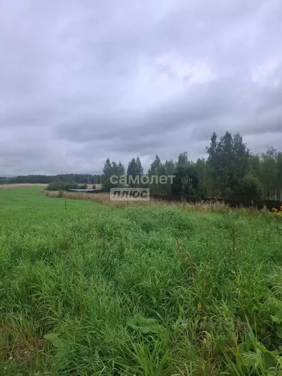 Участок в Московская область, Мытищи городской округ, д. Долгиниха ул. ... - Фото 1