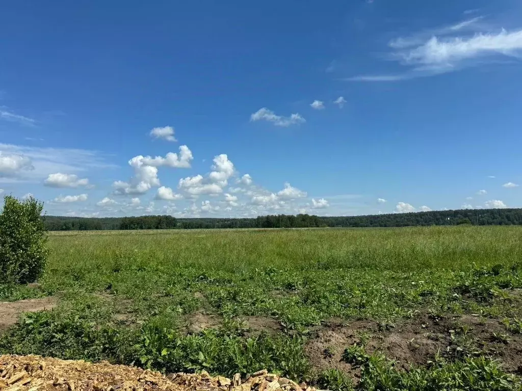 Участок в Новосибирская область, Новосибирский район, Березовский ... - Фото 0