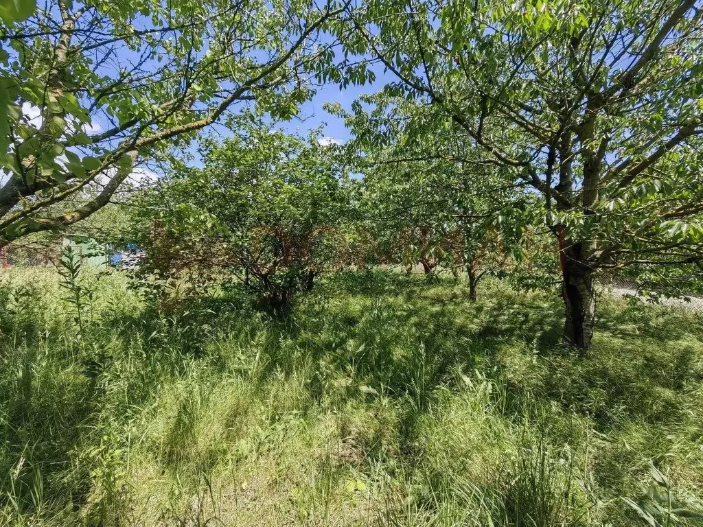 Участок в Ростовская область, Новочеркасск № 9 садовое товарищество, ... - Фото 1