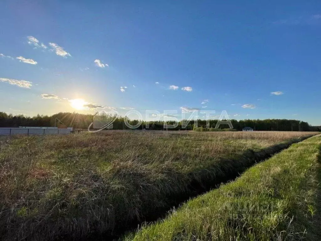 Участок в Тюменская область, Тюмень Матрешка СНТ,  (15.0 сот.) - Фото 1