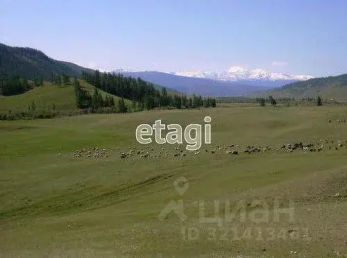 Участок в Алтай, Онгудайский район, Хабаровское с/пос, с. Улита ул. ... - Фото 1