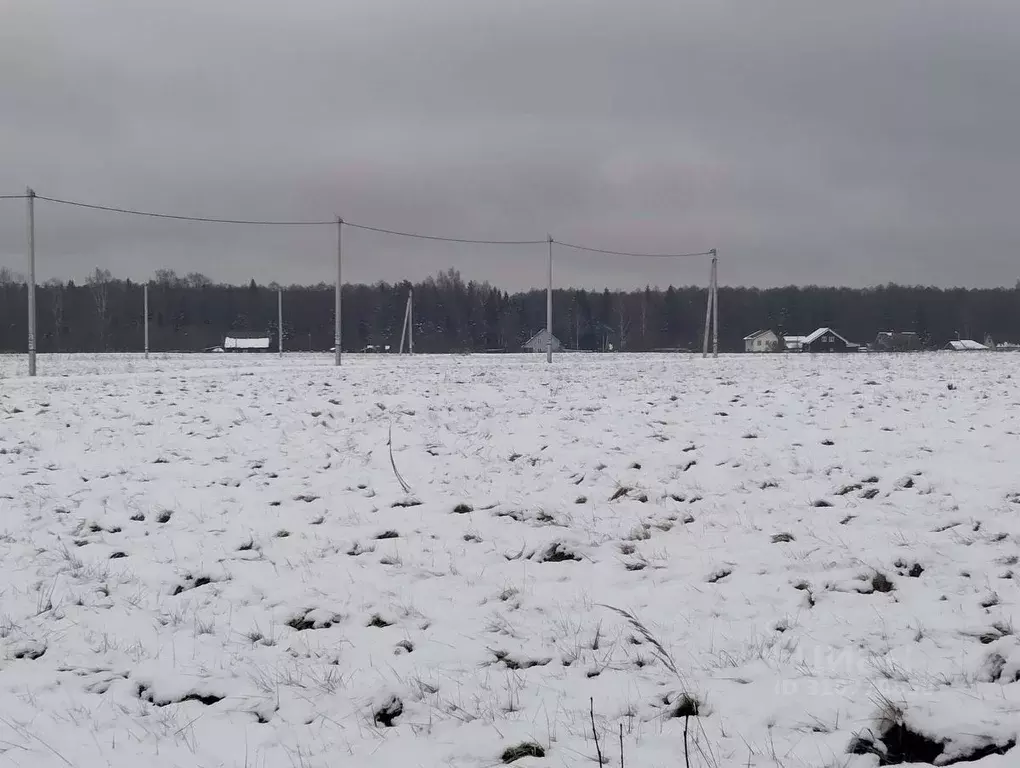 Участок в Московская область, Дмитровский городской округ, Раменье дп  ... - Фото 1