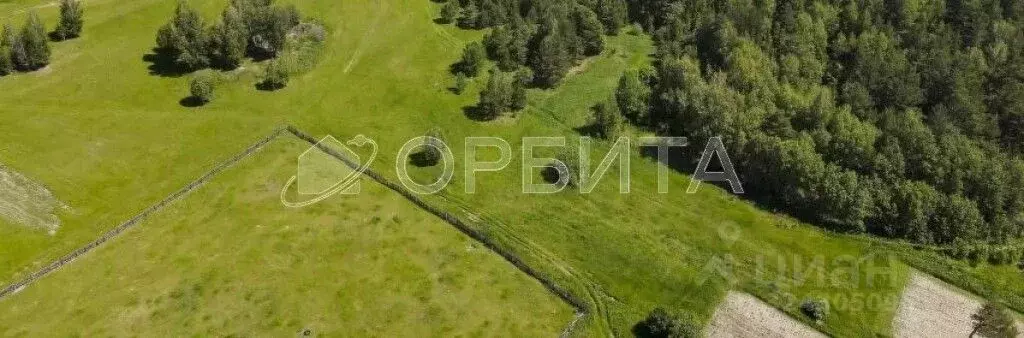 Участок в Тюменская область, Нижнетавдинский муниципальный округ, д. ... - Фото 1