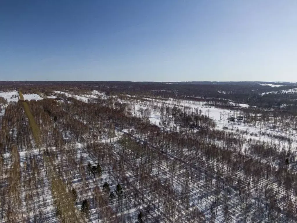 Участок в Новосибирская область, Новосибирский район, Березовский ... - Фото 0