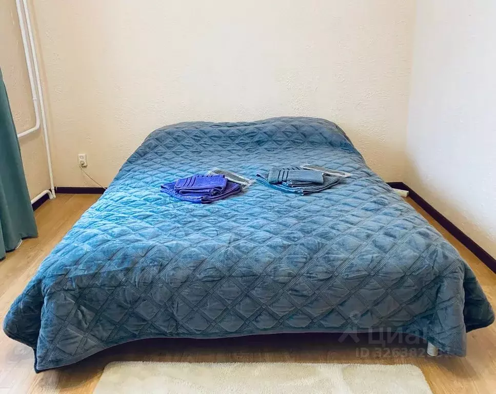 1-к кв. Ленинградская область, Выборг ул. Сторожевой Башни, 9 (23.0 м) - Фото 1