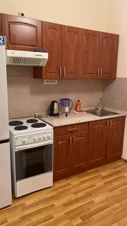 1-к кв. Псковская область, Псковский район, Завеличенская волость, д. ... - Фото 2