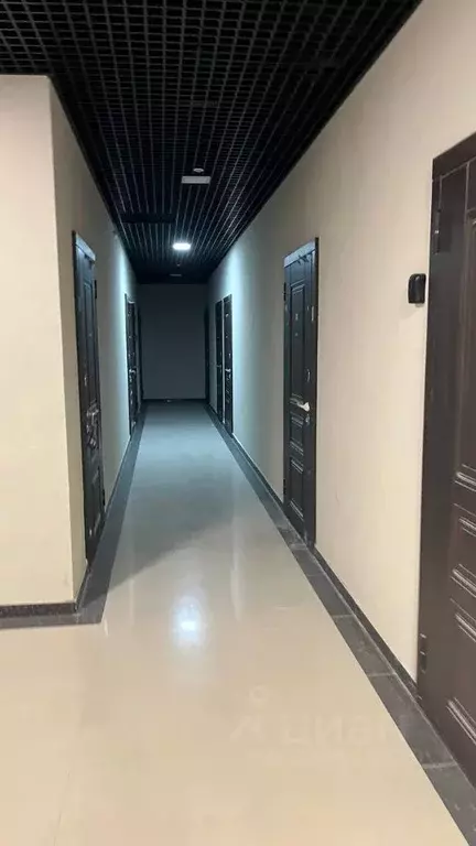 Помещение свободного назначения в Краснодарский край, Сочи ул. Ленина, ... - Фото 2