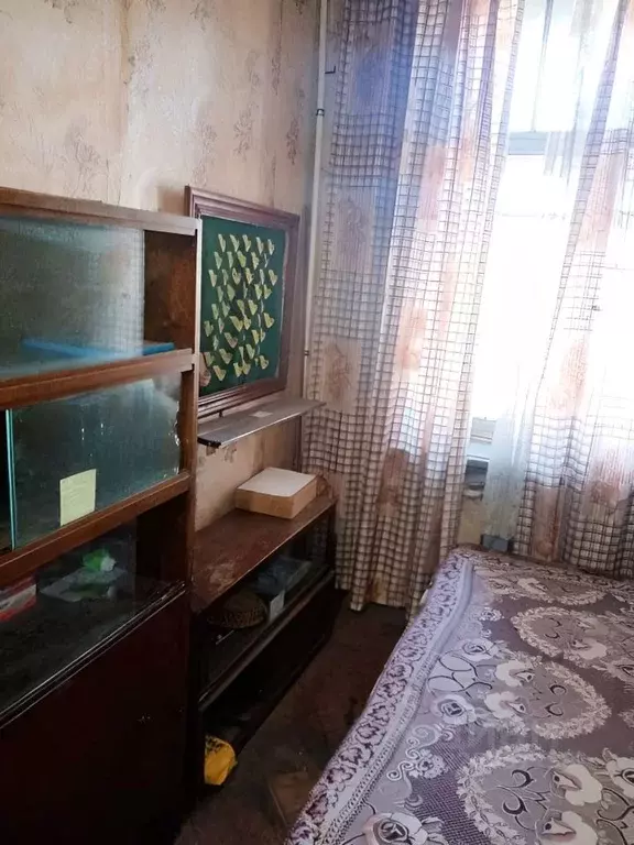 Комната Санкт-Петербург Лесной просп., 13/8 (12.0 м) - Фото 1