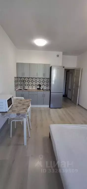 Студия Санкт-Петербург Комендантский просп., 66к5 (24.4 м) - Фото 1