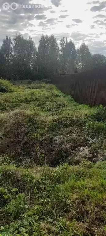 Участок в муниципальное образование Киров, деревня Бони, Алтайский ... - Фото 1