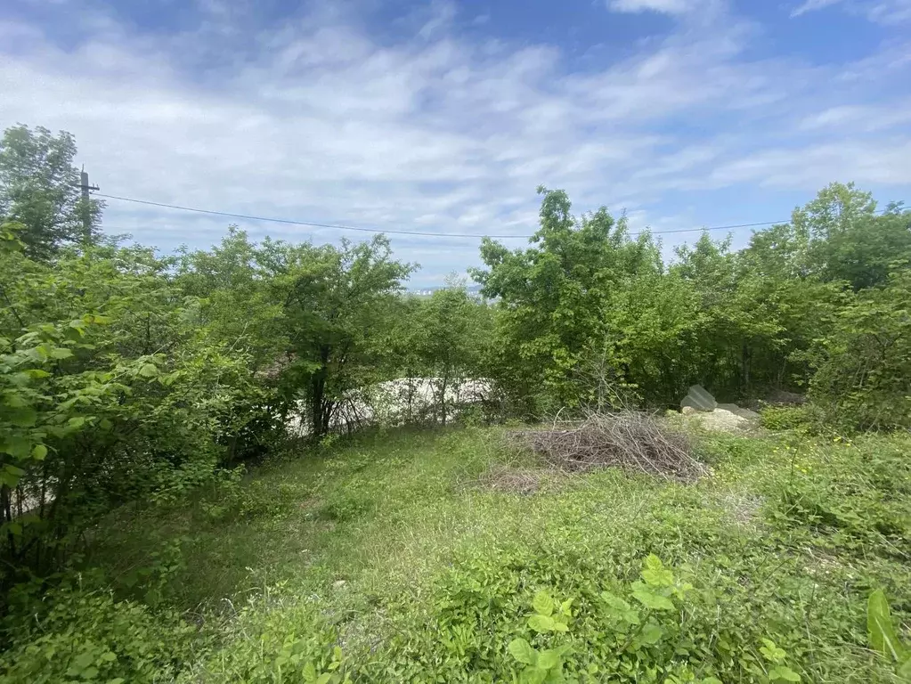 Участок в Краснодарский край, Туапсинский муниципальный округ, с. ... - Фото 1