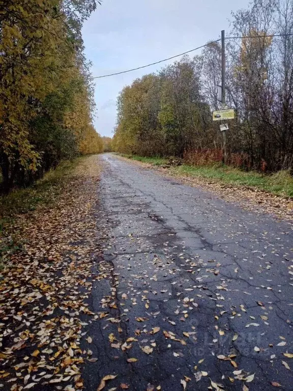 Участок в Ленинградская область, Волховский район, Кисельнинское ... - Фото 2