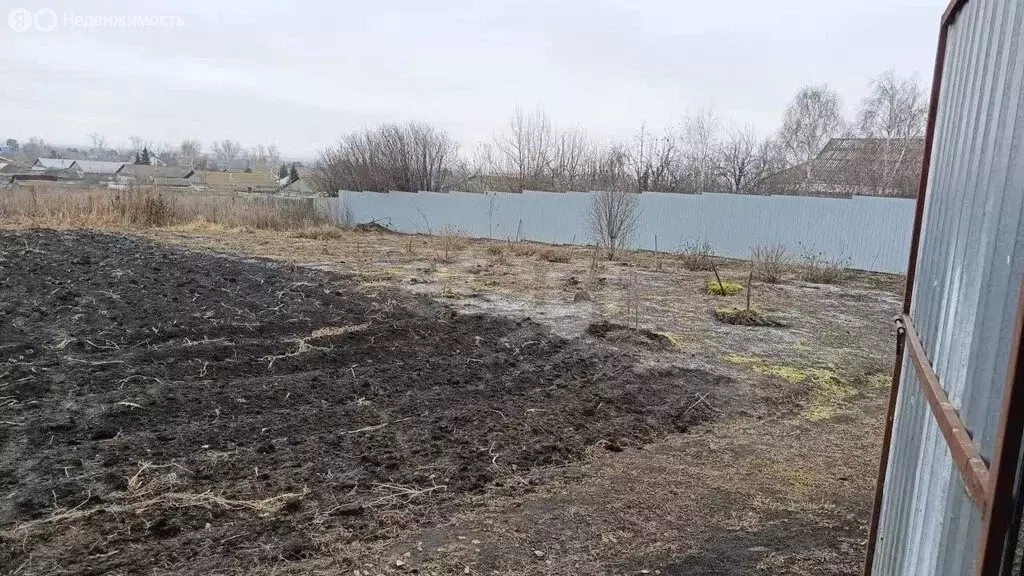Дом в Тюменская область, Ишимский муниципальный округ, село Боровое ... - Фото 2