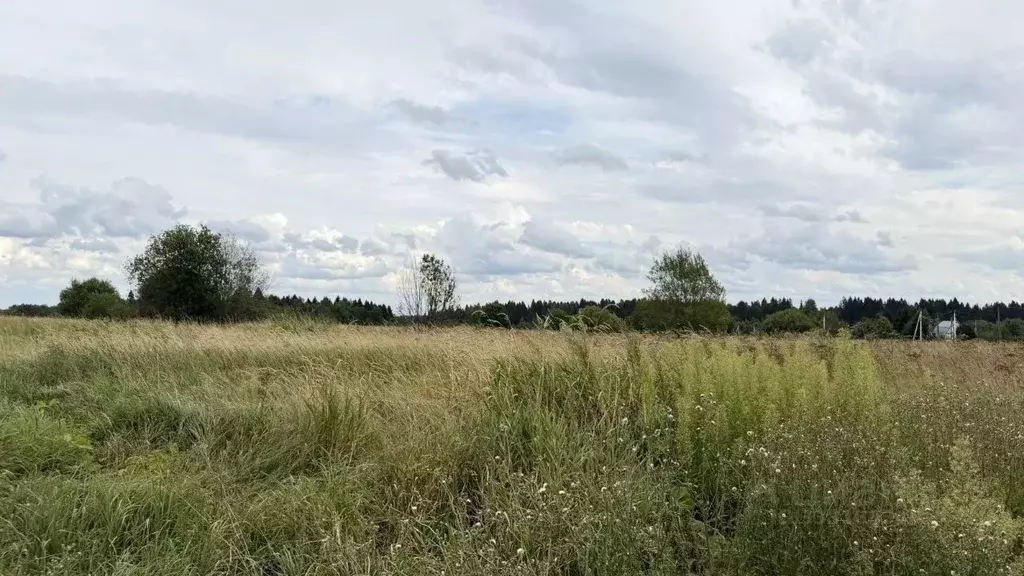Участок в Московская область, Истра ул. Ленина, Река Истра (10.0 сот.) - Фото 2