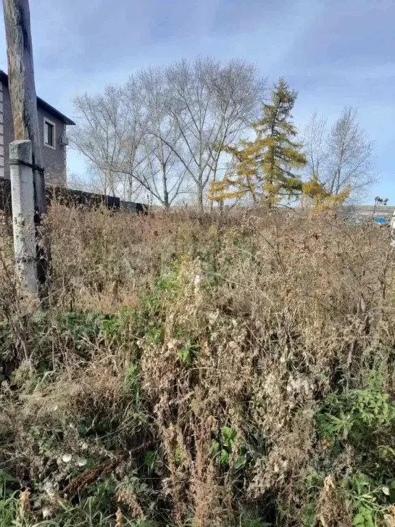 Участок в Свердловская область, Талицкий городской округ, с. Бутка ул. ... - Фото 0