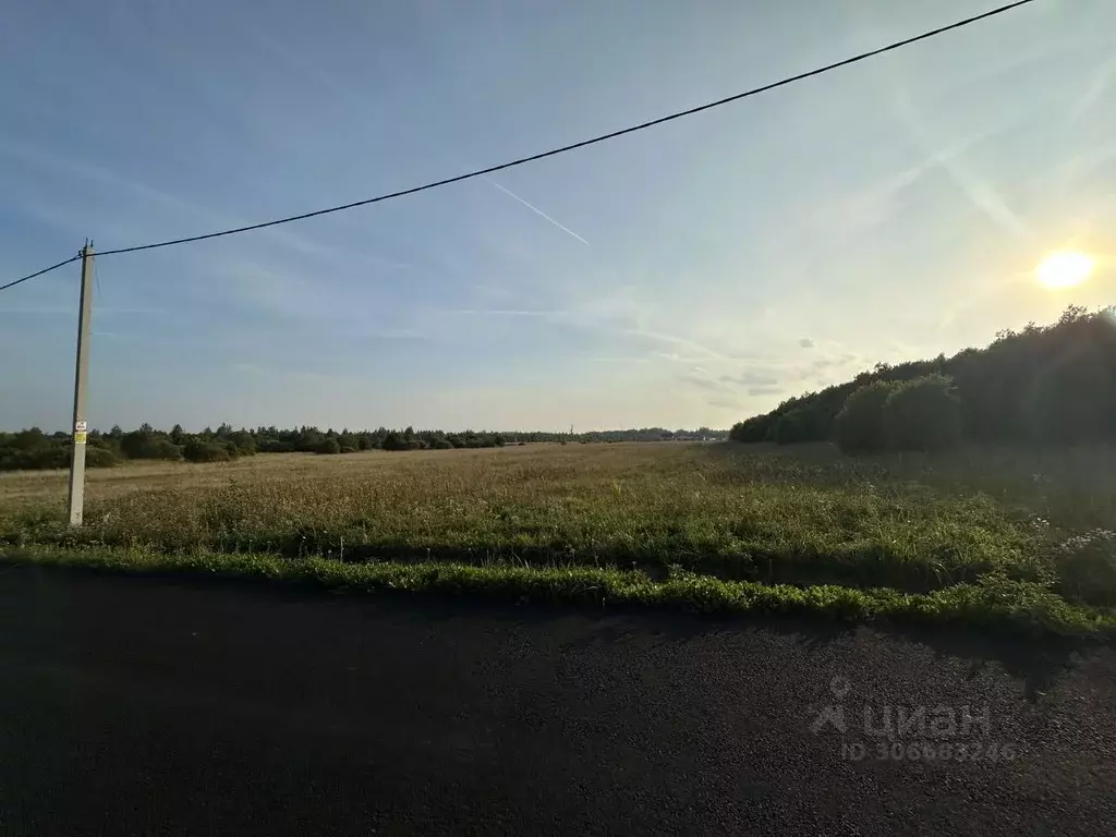 Участок в Ленинградская область, Всеволожский район, Романовское ... - Фото 0