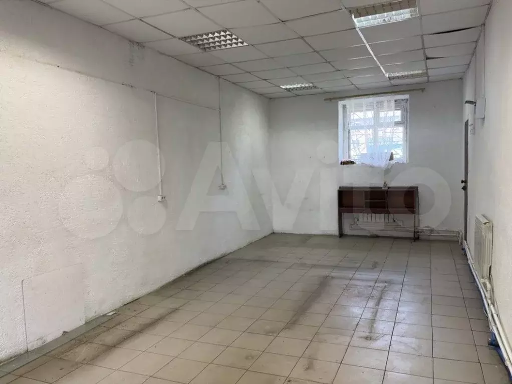 Сдам помещение свободного назначения, 30 м - Фото 1