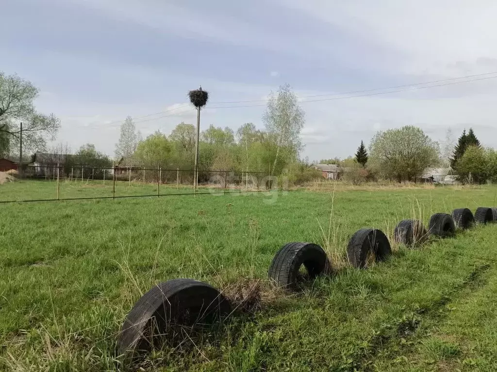 Участок в Тульская область, Киреевский район, Бородинское ... - Фото 0