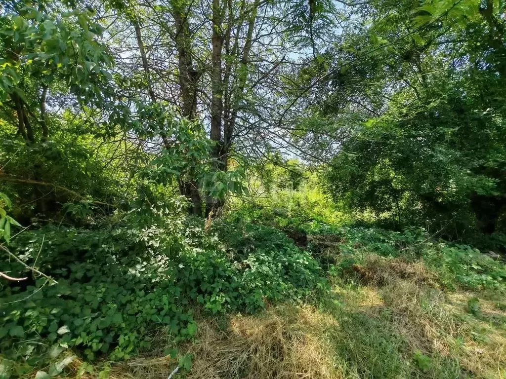 Участок в Краснодарский край, Горячий Ключ Кольцевая ул., 11 (7.52 ... - Фото 1