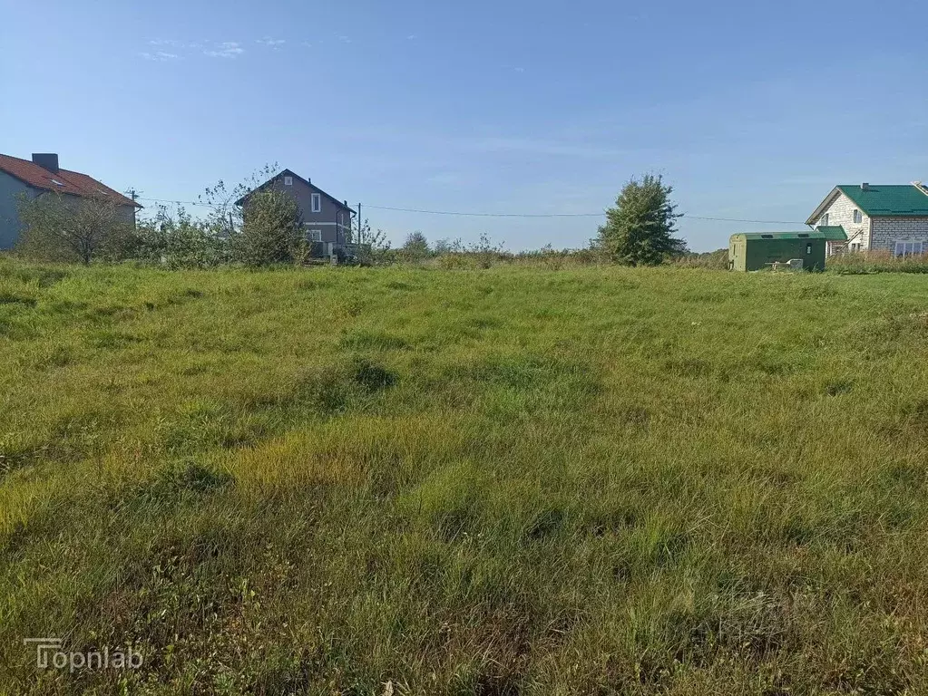 Участок в Калининградская область, Гурьевский муниципальный округ, ... - Фото 1