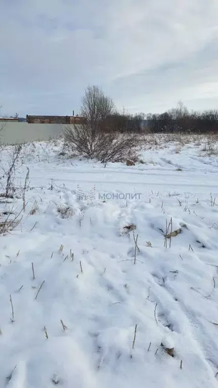 Участок в Нижегородская область, Богородский муниципальный округ, д. ... - Фото 1