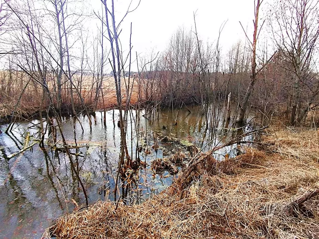 Участок в Пермский край, Пермский муниципальный округ, д. Якунчики ул. ... - Фото 2