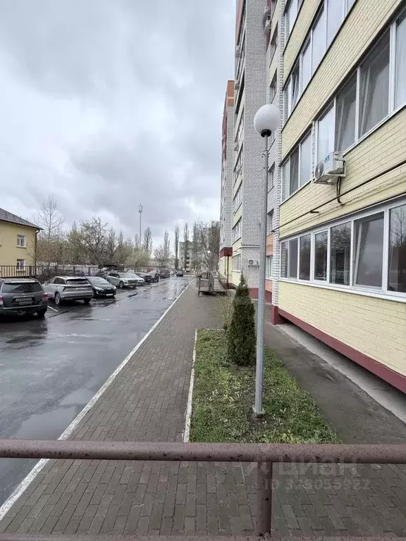 1-к кв. Брянская область, Брянск ул. Пушкина, 43 (50.19 м) - Фото 1