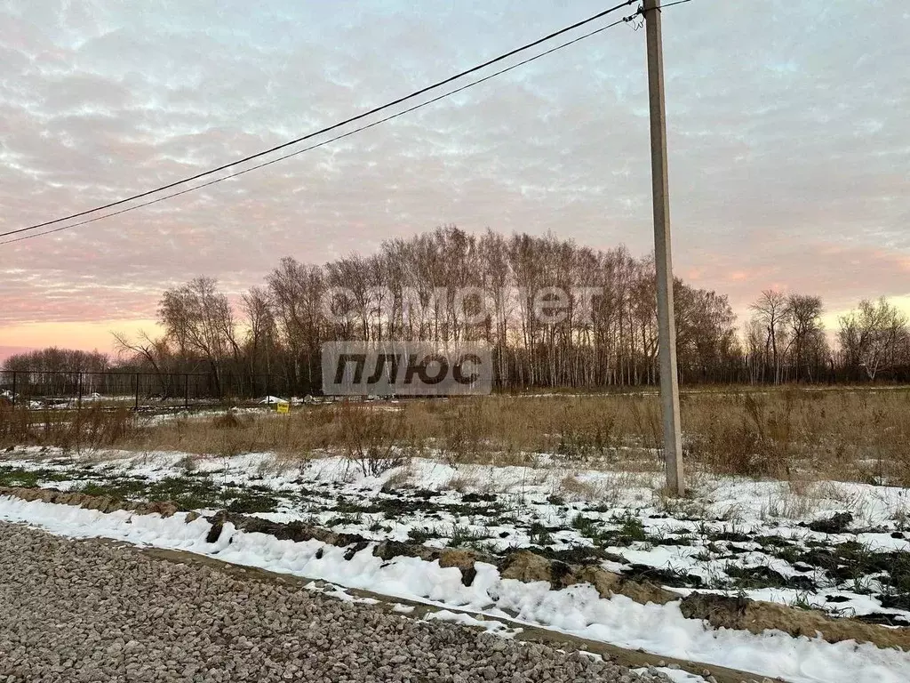 Участок в Тюменская область, Тюменский район, Новокаменский кп  (12.0 ... - Фото 1