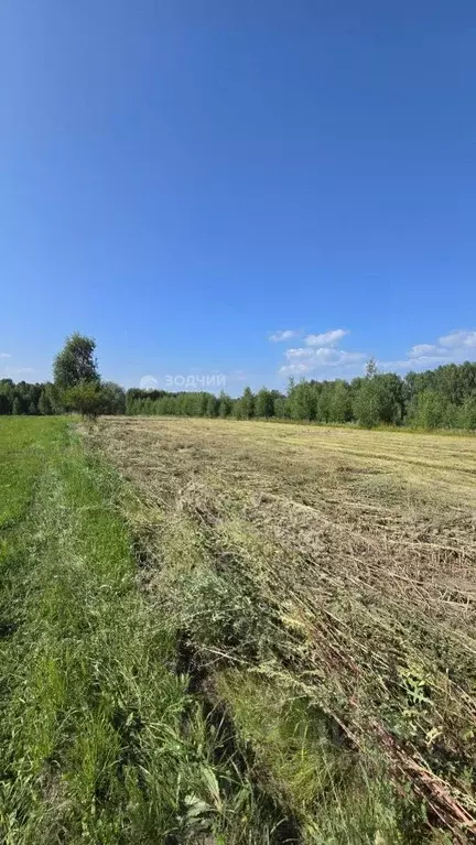 Участок в Чувашия, Моргаушский муниципальный округ, д. Шомиково  (13.7 ... - Фото 1