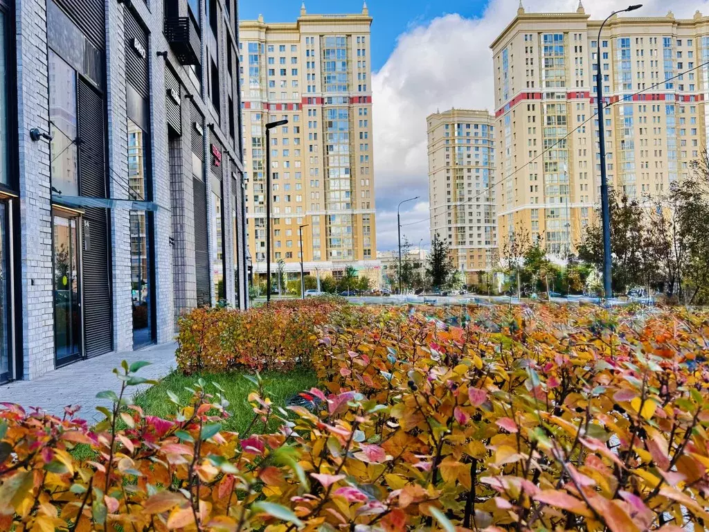 1-к кв. Москва Винницкая ул., 8к4 (37.0 м) - Фото 2