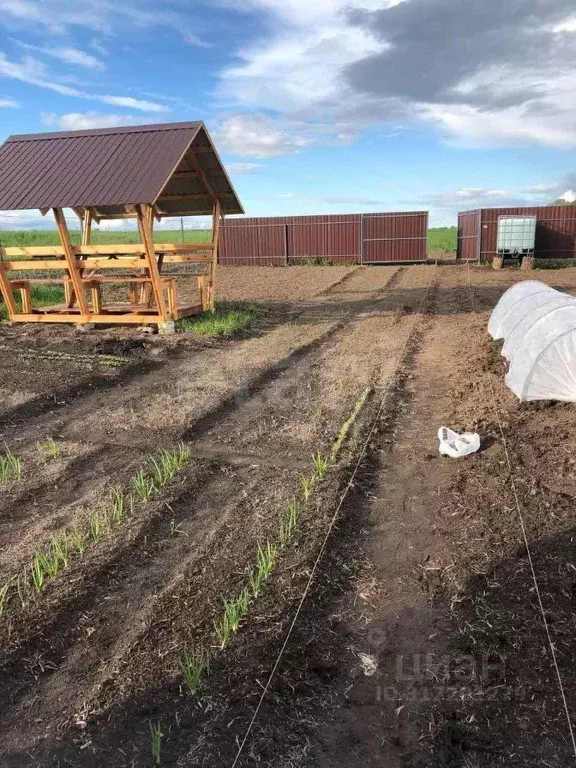 Участок в Брянская область, Выгоничский район, Кокинское с/пос, д. ... - Фото 1