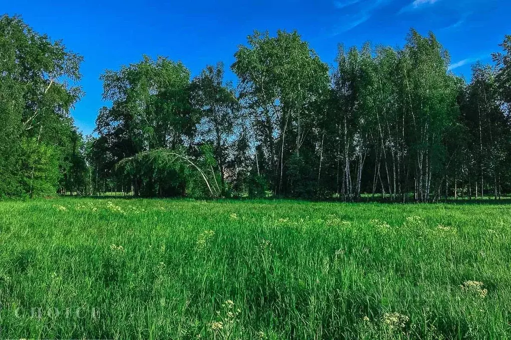 Участок в Московская область, Одинцовский городской округ, д. ... - Фото 1