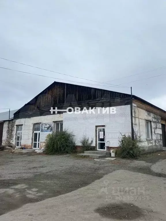 Помещение свободного назначения в Алтайский край, Бийский район, с. ... - Фото 0